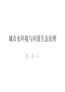城市水环境与河道生态治理(1)