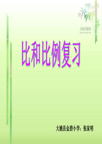 新新人教版数学六年级下册总复习(比和比例复习)