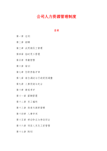 某公司人力资源管理制度全vzxvsd