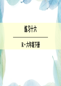 人教版六年级数学下册练习十六