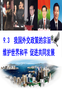 93我国外交政策的宗旨维护世界和平_促进共同发展公