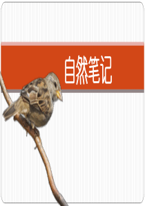 自然笔记的制作方法