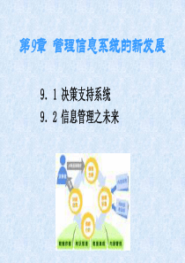 9管理信息系统的新发展