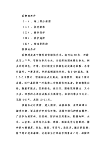 香樟的养护及病虫害防治