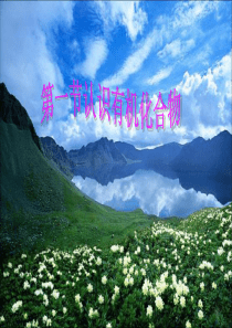 高中化学必修二第三章第一节认识有机化合物课件剖析