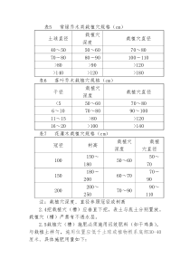 种植穴尺寸