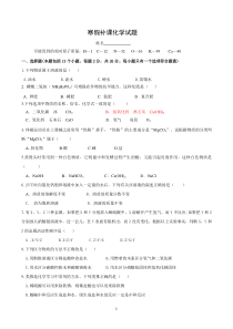 九年级化学下册测试题