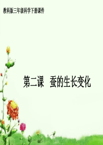 蚕的生长变化ppt课件