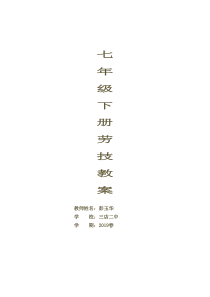 七年级下学期劳技教案
