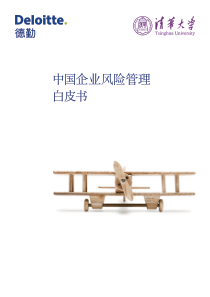 中国企业风险管理白皮书