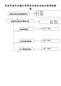 青岛市城阳古镇正骨医院生物安全组织管理框架图