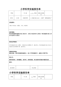 小学粤教版科学实验报告