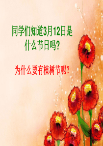 小学美术课件-水墨画树