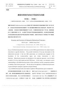 真核生物双向启动子的结构与功能