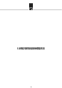 罗兰贝格 蓝带 咨询项目报告organization-a