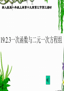 19.2.3一次函数与二元一次方程组(3)