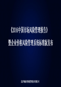 中国市场风险管理报告
