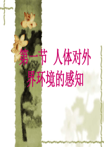 《人体对外界环境的感知》PPT课件2