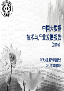 BDTC2015中国大数据技术与产业发展报告30