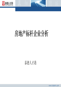 Tader-房地产标杆研究