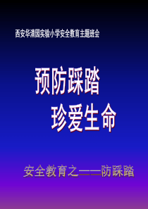 小学防踩踏安全教育ppt