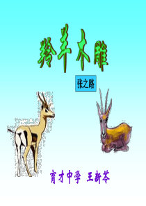 初一语文羚羊木雕1[人教版]