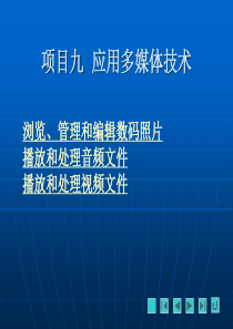 计算机基础教学课件第9章