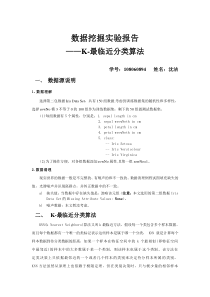 数据挖掘实验报告