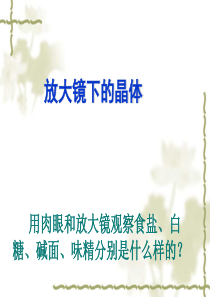 教科版小学科学六年级下册第一单元《放大镜下的晶体》课件