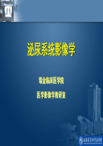 泌尿系统影像学--瑞金临床医学院医学影像学教研室