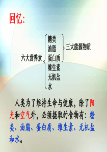 §4-2 糖类(单糖、二糖、多糖)课件