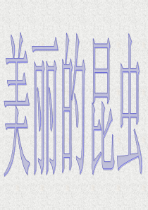 二年级美术上册 美丽的昆虫 1课件 湘美版