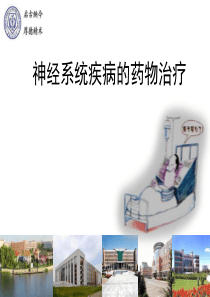 神经系统疾病的药物治疗(缺血性疾病)