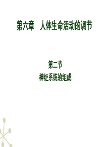 神经系统的组成(改)ppt_