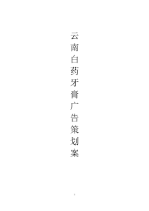 曹广民云南白药牙膏营销方案策划