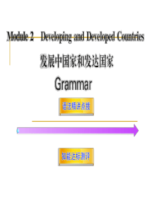 Module2《Developing and Developed Countries》Grammar