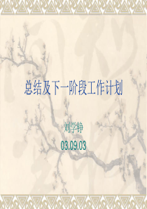 总结及下一阶段工作计划