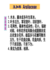 09-五加科-