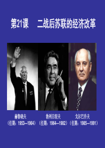 人教版高中历史必修二-第21课《二战后苏联的经济改革》课件-(4)-(共36张PPT)