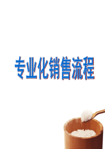 保险营销专业化销售流程46页