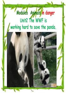 2013新外研版八年纪上册Module6 Animals in danger Unit2