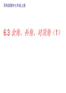 6.3余角、补角、对顶角课件(1)
