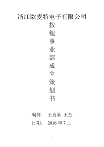 事业部方案