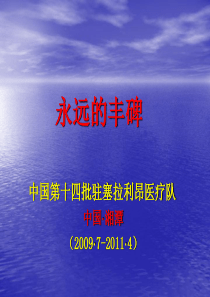 援外工作总结援非工作汇报