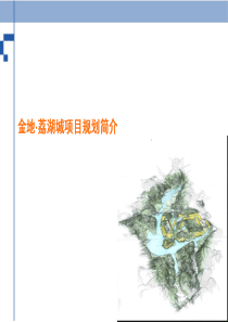 金地荔湖城规划-经典规划资料