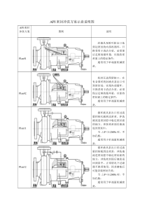 API密封冲洗方案(说明附图)