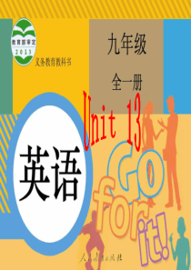 2014人教版新目标英语九年级Unit-13-Were-trying-to-save-the-ear