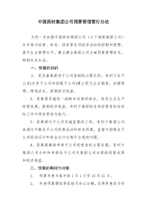 中国药材集团公司预算管理办法.doc