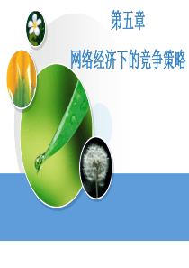 第五章-网络经济下的竞争策略