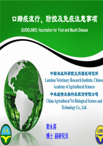 口蹄疫疫苗免疫注意事项